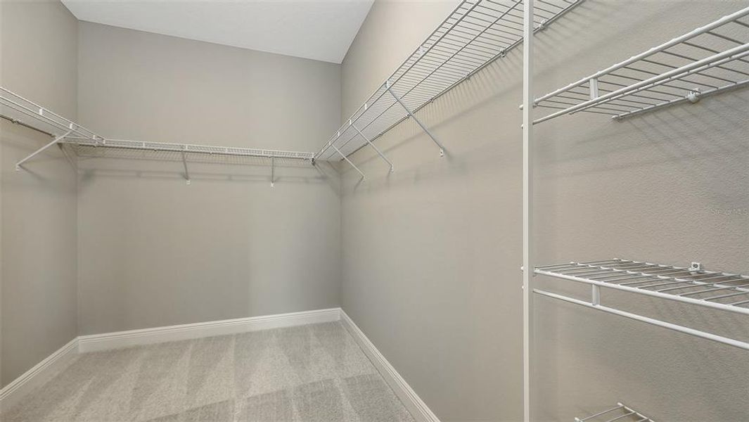 Spacious, unfurnished interior of a new home in Palm Grove, Lakewood Ranch (Image 24).