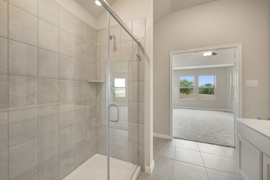 Owner's Bathroom