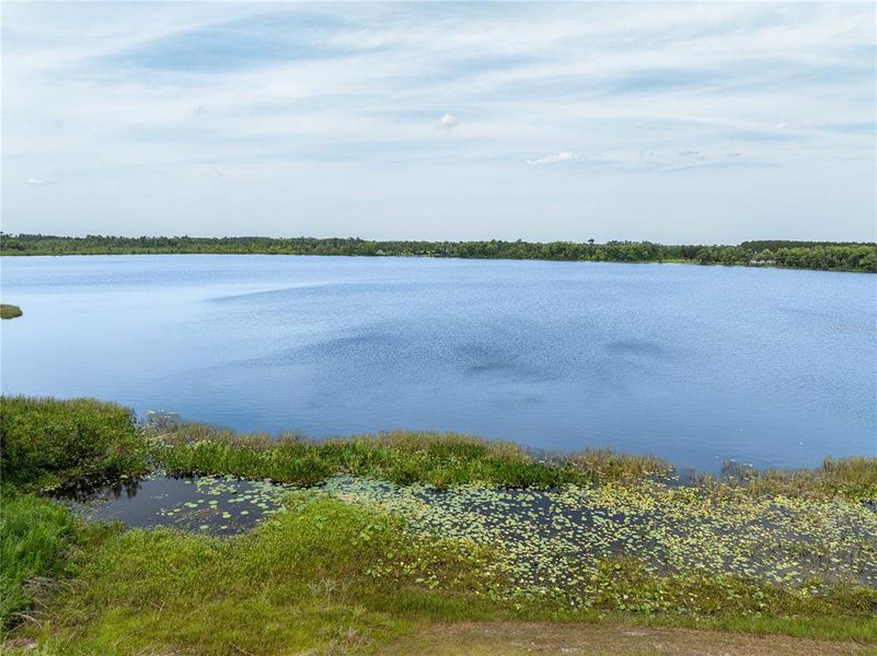 Natural landscape and outdoor views near  in Live Oak (Image 32).