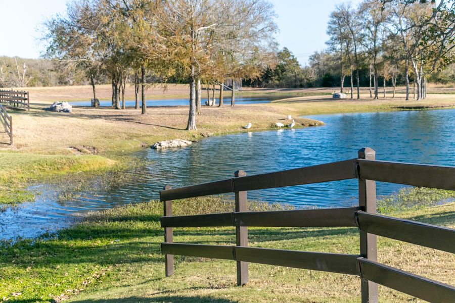 Natural landscape and outdoor views near The Colony in Bastrop (Image 15).
