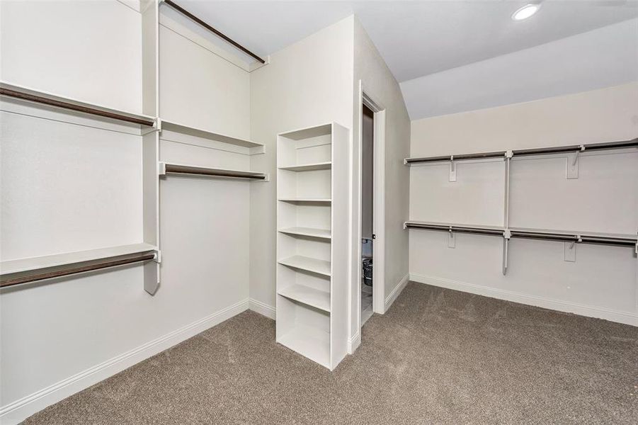 Spacious closet featuring carpet flooring