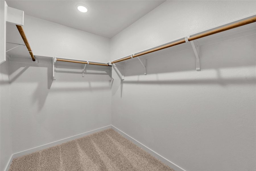 Walk in closet featuring carpet floors