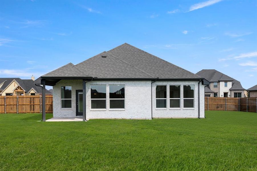 23_121 Grey wolf- Back-2