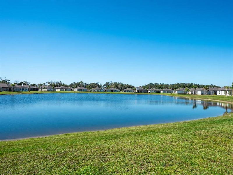 Natural landscape and outdoor views near Summerwoods in Parrish (Image 33). Natural landscape and outdoor views near Summerwoods in Parrish (Image 33).