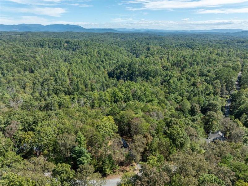 Natural landscape and outdoor views near  in Ellijay (Image 69).