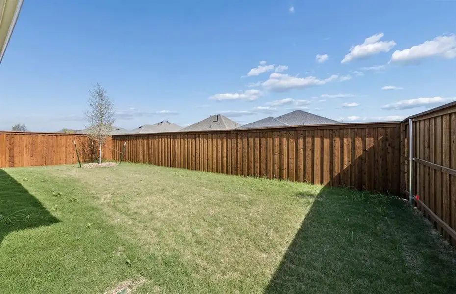 Fenced-in backyard