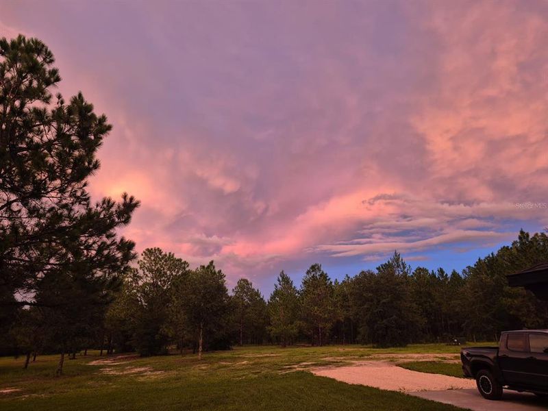 Natural landscape and outdoor views near  in Lecanto (Image 61).