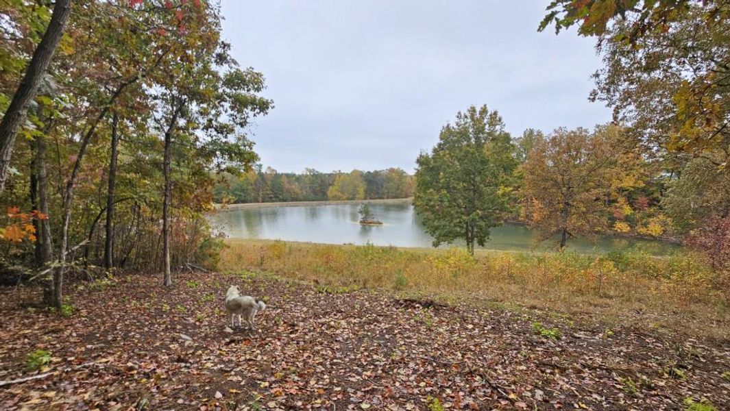 Natural landscape and outdoor views near in Dallas (Image 7). Natural landscape and outdoor views near in Dallas (Image 7).