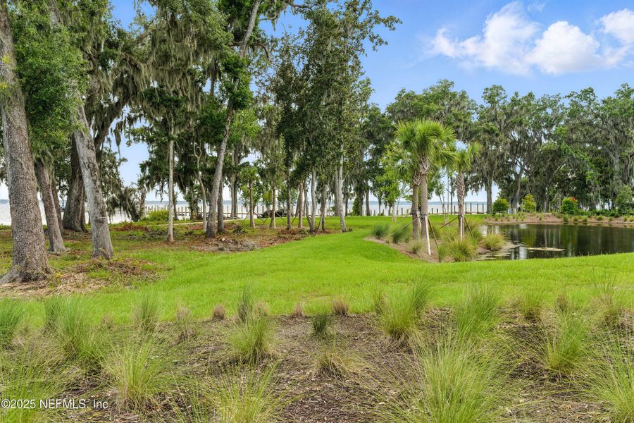 Natural landscape and outdoor views near  in St. Johns (Image 57).