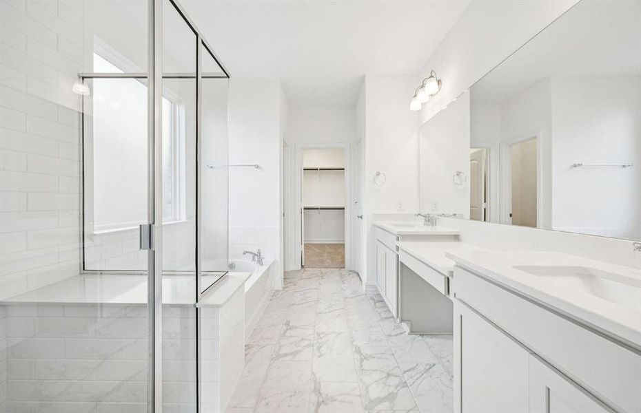 Owner's bath with large shower