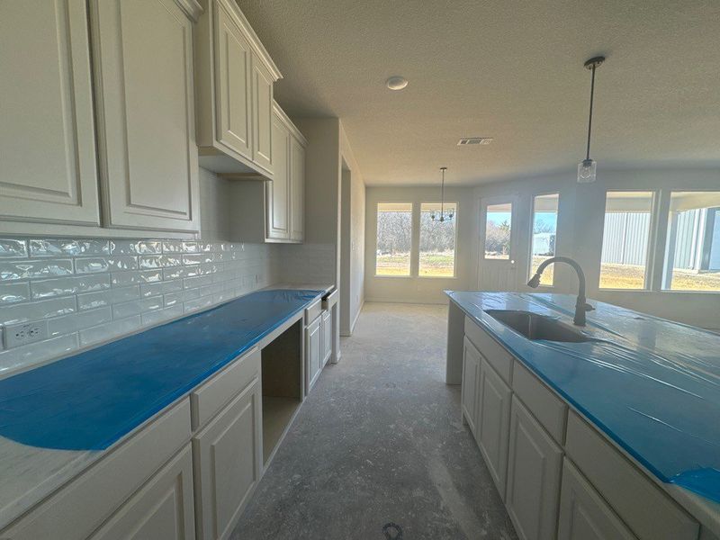 In-progress construction of a new home in Terra Escalante, Blue Ridge, TX (Image 12).