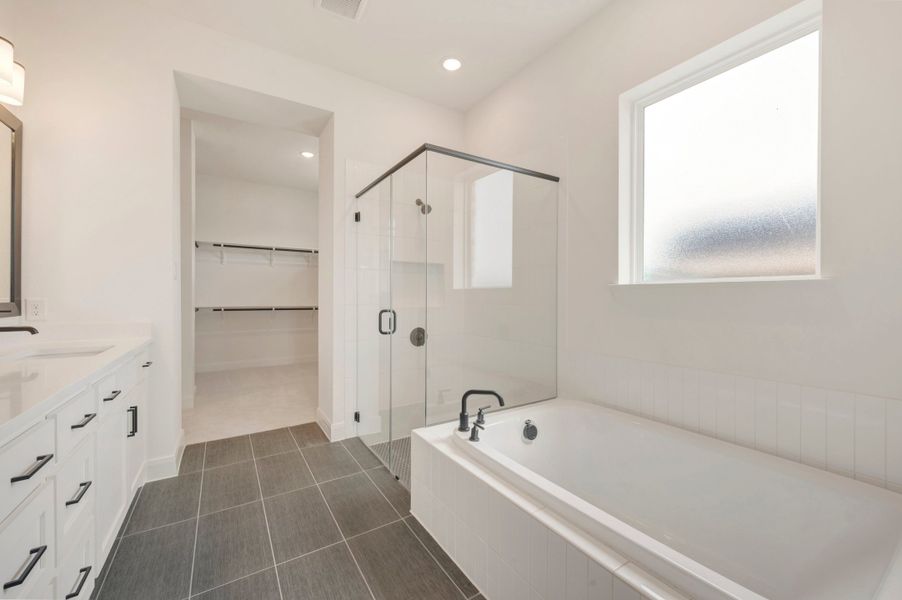 Owner's Bath