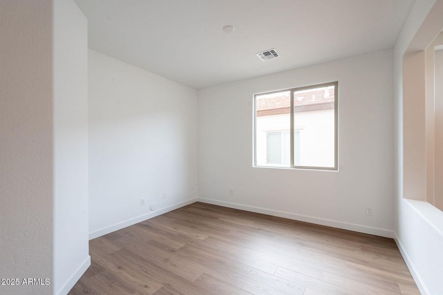 7-web-or-mls-Bittercress-7 7-web-or-mls-Bittercress-7