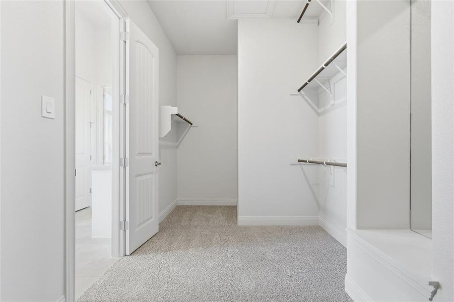 Walk in closet with light carpet