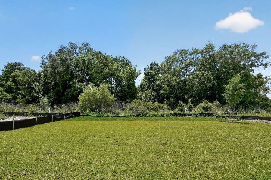 Natural landscape and outdoor views near Firethorn in Parrish (Image 35). Natural landscape and outdoor views near Firethorn in Parrish (Image 35).