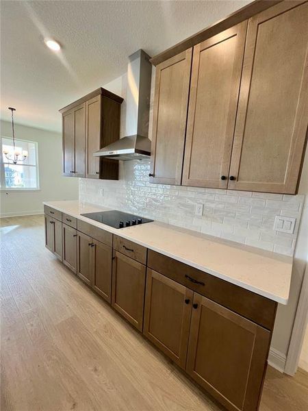 Image 30 of a home in Hills of Minneola.