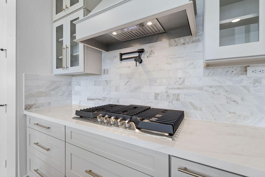 2843 Red Rosehip Dr Richmond, TX New Home Image 7