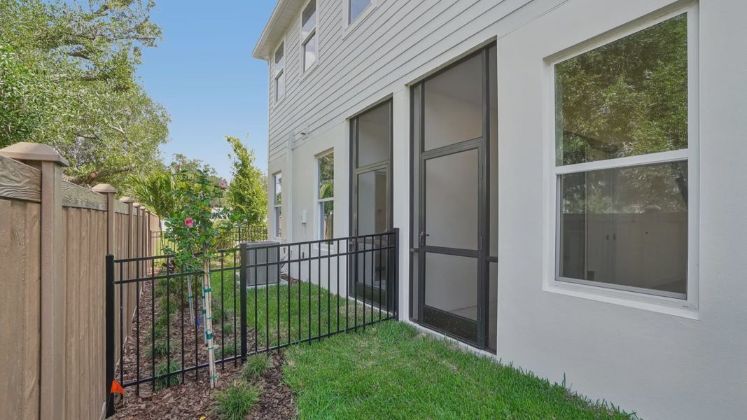 The Fenced Backyard