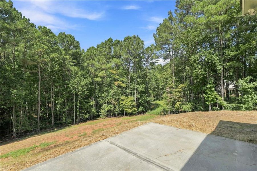 Natural landscape and outdoor views near  in Talking Rock (Image 45).
