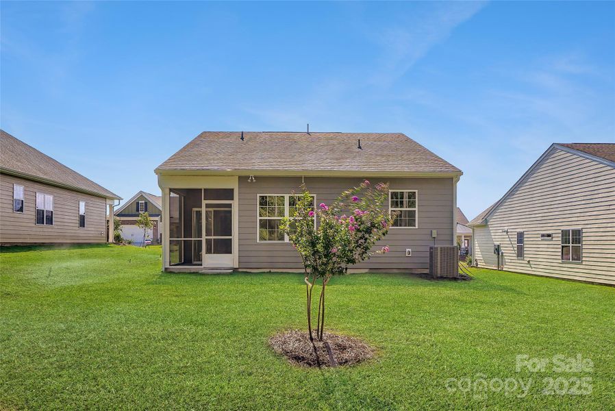 Rear Exterior Rear Exterior