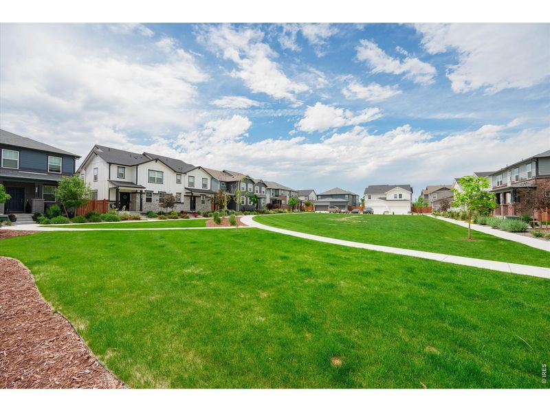 Community amenities in Fickel Farm, Berthoud (Image 34).