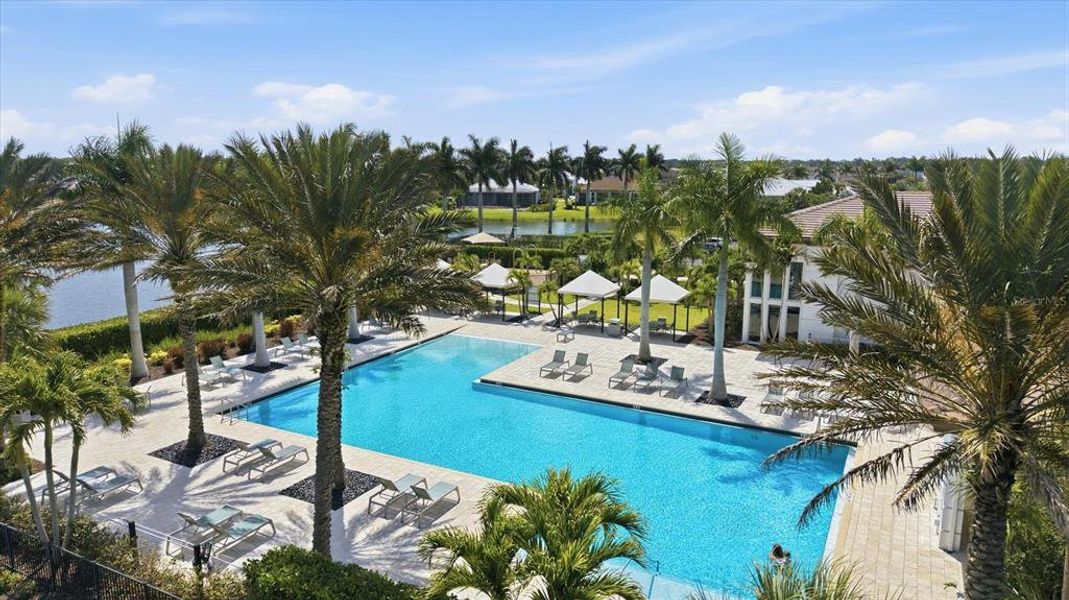 Community amenities in , Sarasota (Image 41).