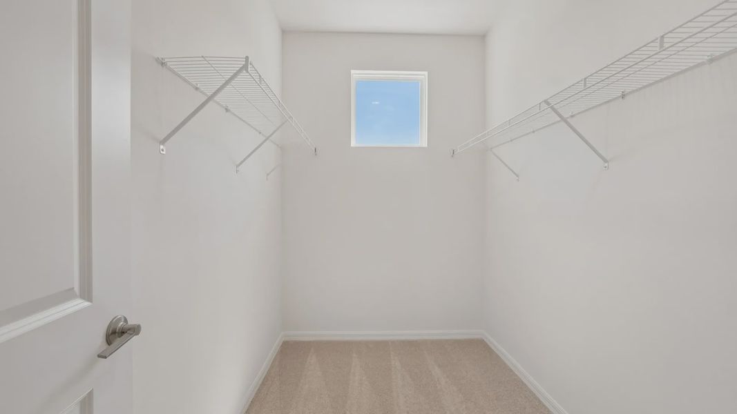 The Primary Closet