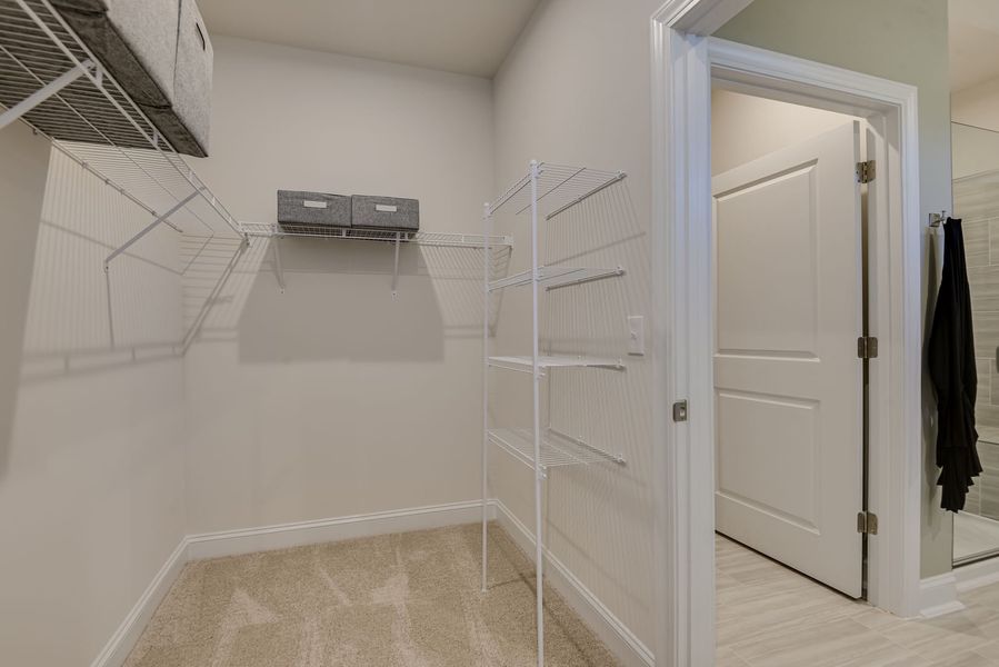 The Norwood at Abney Hills Estates