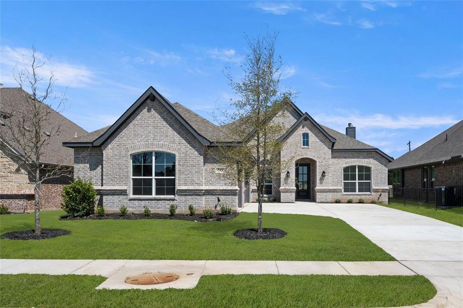 345 Paddle Boat- Front-1 345 Paddle Boat- Front-1