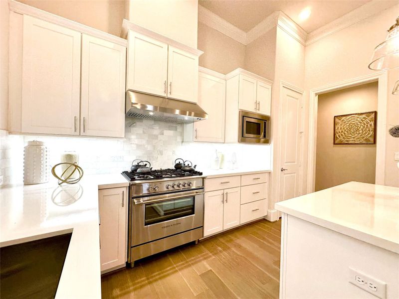 High End Fisher Paykel Appliances - 36 Slide-in Gas Range - Convection Oven - Double Cabin Dishwasher