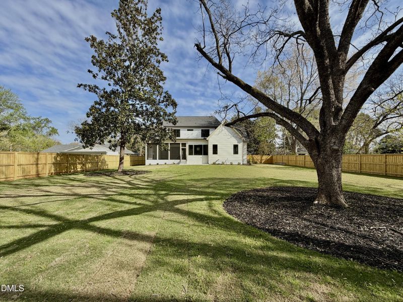 Backyard