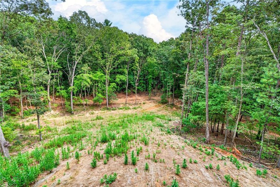 Natural landscape and outdoor views near  in Ellijay (Image 53).