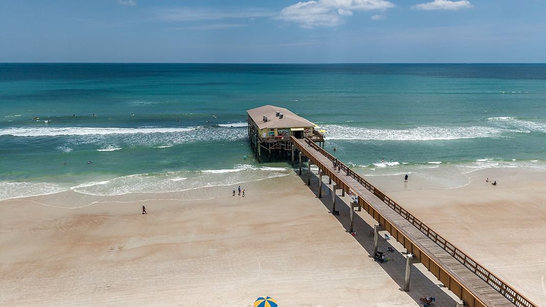Natural landscape and outdoor views near Ardisia Park in New Smyrna Beach (Image 26).