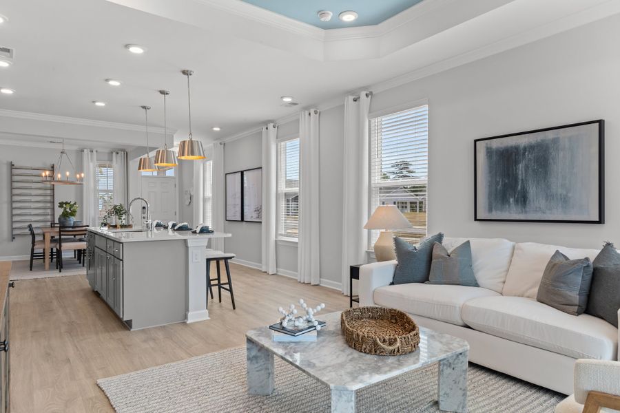 Furnished interior view inside a new home in Terrapin, Leland (Image 10).