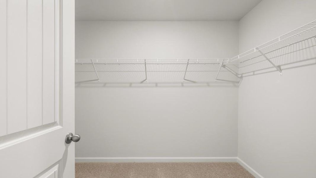 Spacious, unfurnished interior of a new home in Oakleigh Glen, Dallas (Image 23).