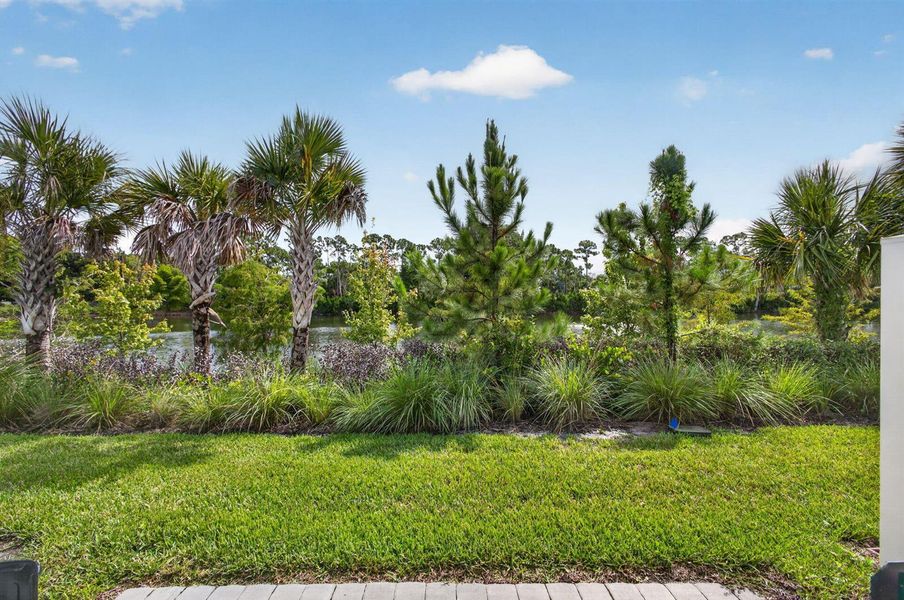 42-web-or-mls-5D1A8381