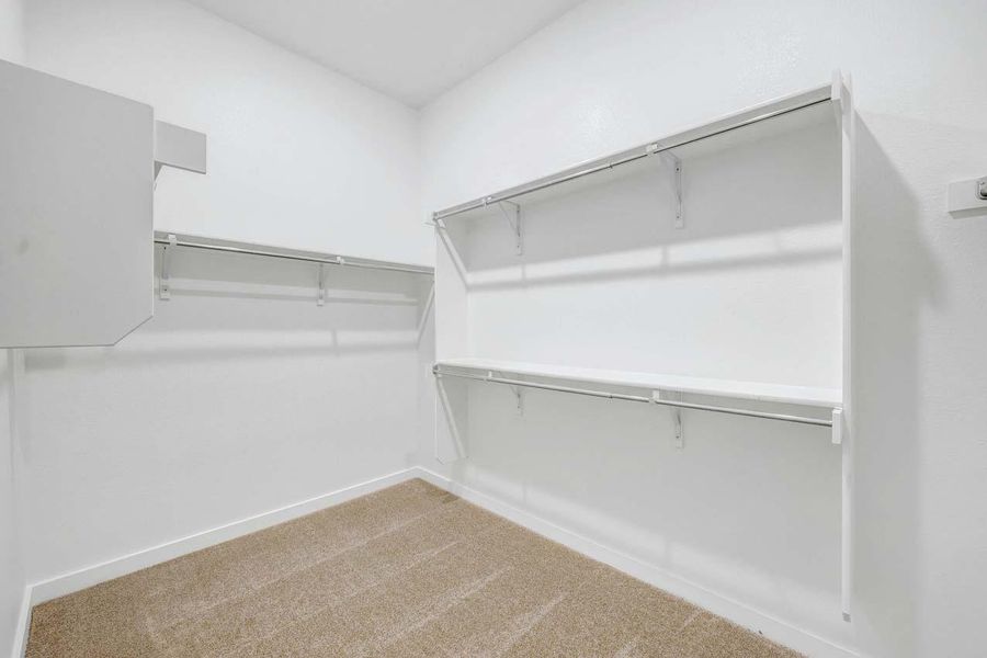Walk in closet featuring carpet flooring