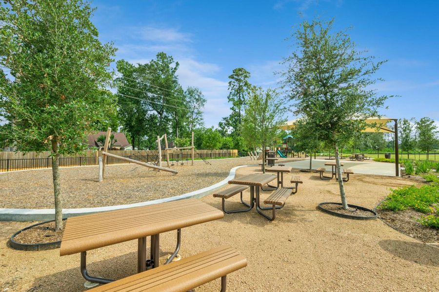 Community amenities in Indian Springs, Crosby (Image 16).