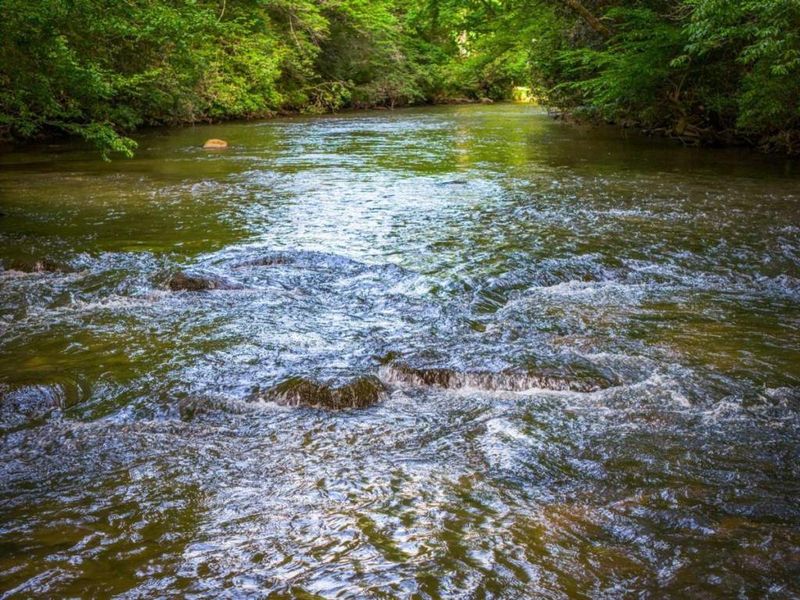 Natural landscape and outdoor views near  in McCaysville (Image 44).