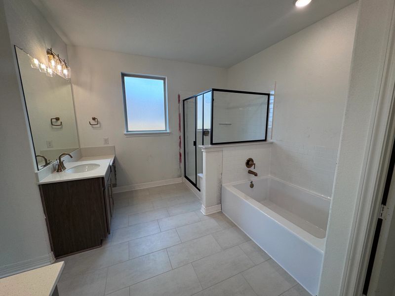 Progress Photo - Primary Bathroom