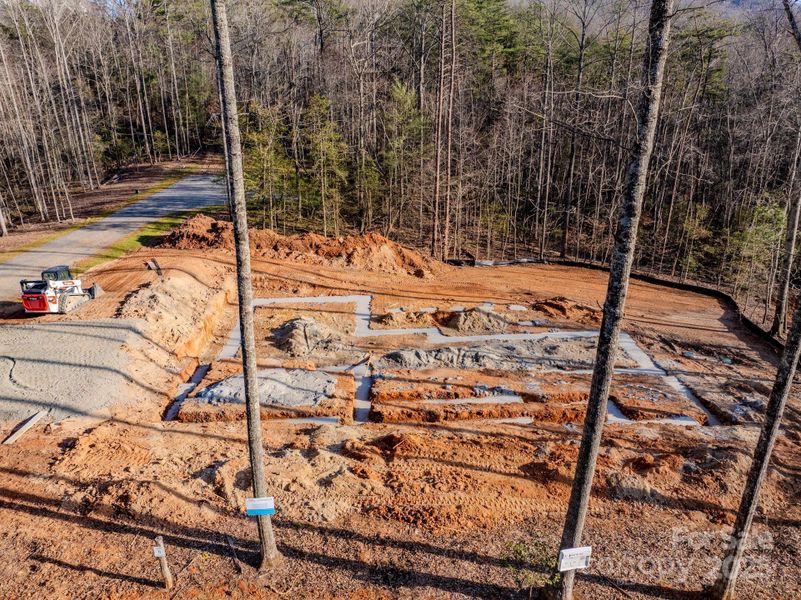 Taken January 5th, 2026