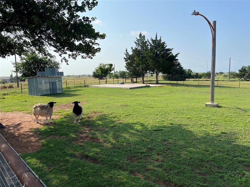 Natural landscape and outdoor views near  in Nocona (Image 21).