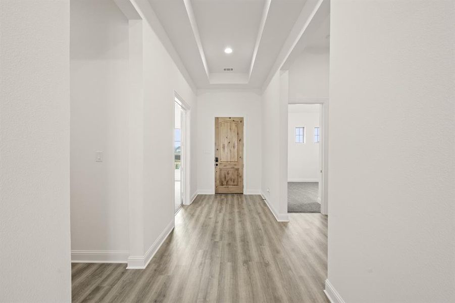 5_328 Alina- Entry-1