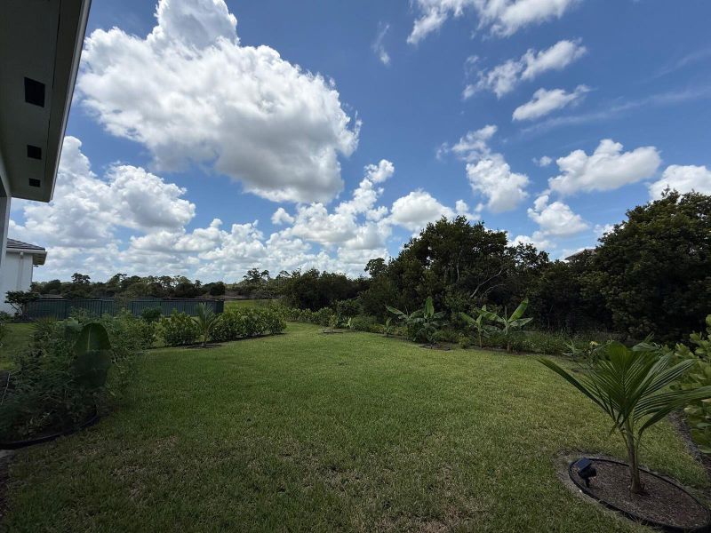Backyard 6
