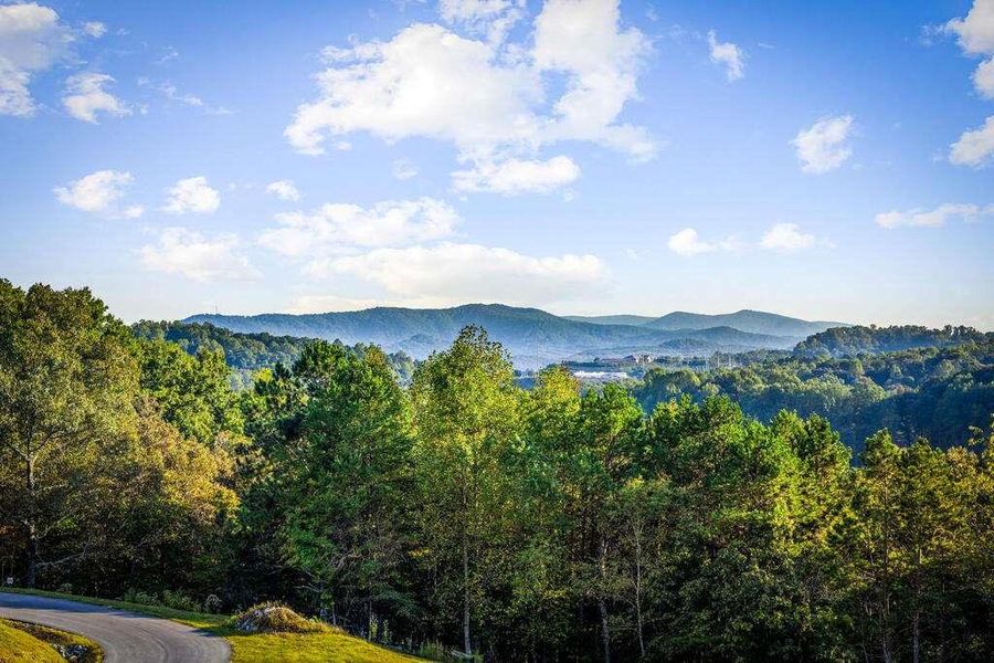 Natural landscape and outdoor views near  in Blue Ridge (Image 66).