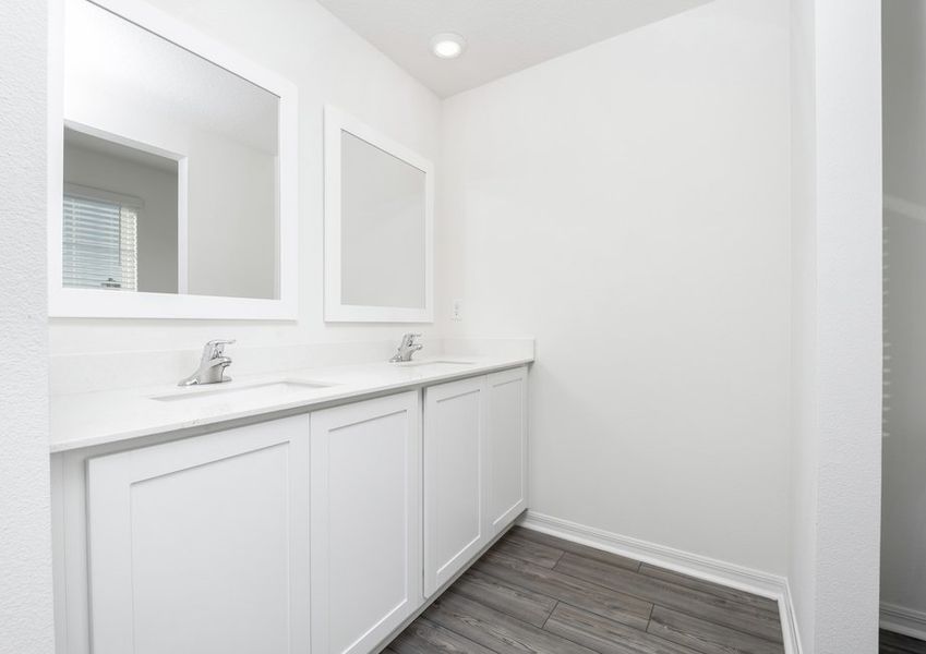 Master bathroom vanity with two sinks