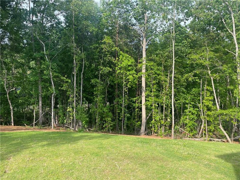 Natural landscape and outdoor views near Chattahoochee Reserve in Cumming (Image 17). Natural landscape and outdoor views near Chattahoochee Reserve in Cumming (Image 17).