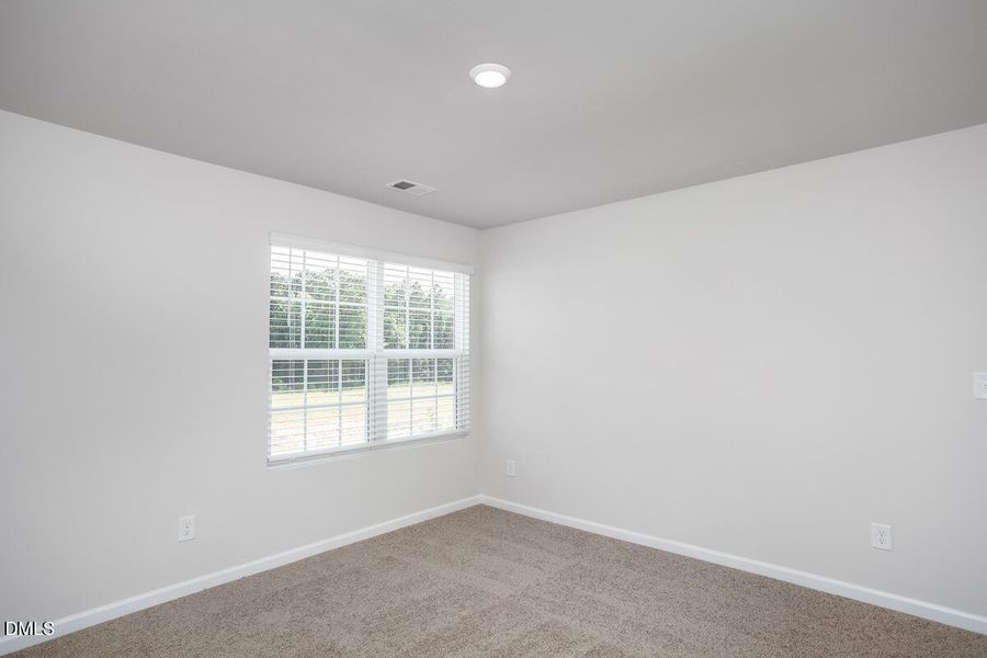 IMG_8015-Edit IMG_8015-Edit