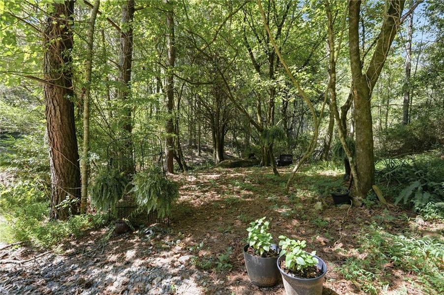 Natural landscape and outdoor views near  in Ellijay (Image 51).