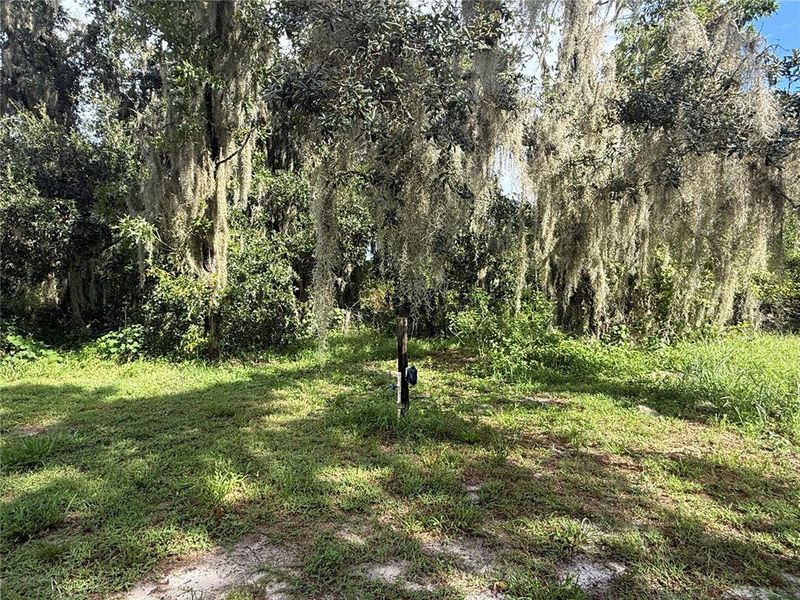 Natural landscape and outdoor views near  in Parrish (Image 12).
